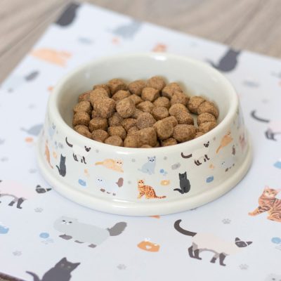 Food Bowl Cat Print