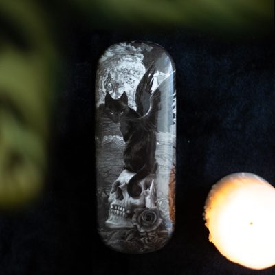 Nine Lives of Poe Glasses Case By Alchemy