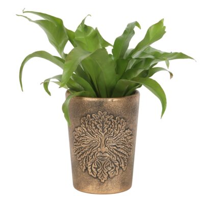 Bronze Terracotta Green Man Plant Pot by Lisa Parker