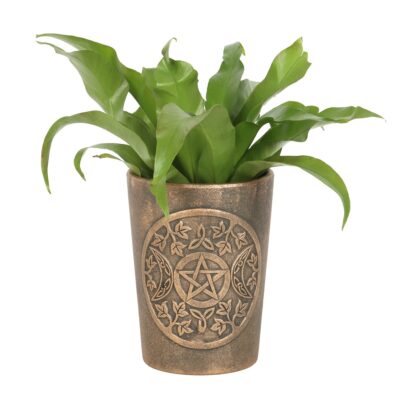 Bronze Terracotta Triple Moon Plant Pot by Lisa Parker
