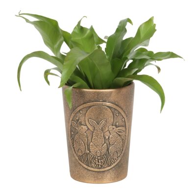 Bronze Terracotta Moon Shadows Plant Pot by Lisa Parker