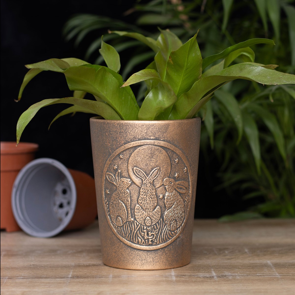 Bronze Terracotta Moon Shadows Plant Pot by Lisa Parker