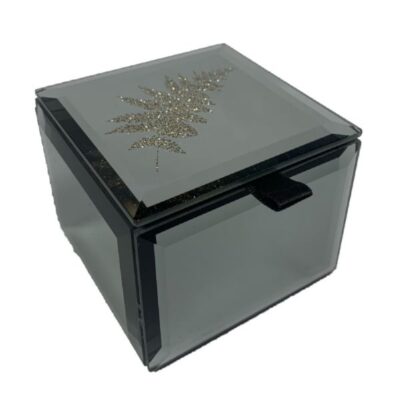 Bling Mini Box Fern