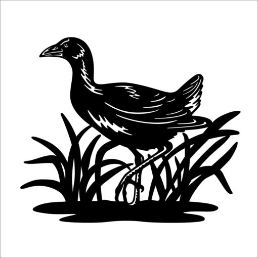 Pukeko Metal Wall Art