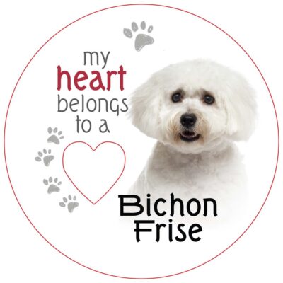 Bichon Frise Piece of My Heart Magnet