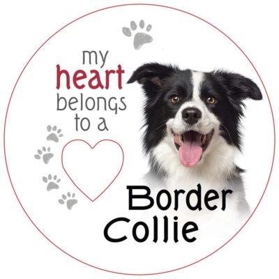 Border Collie Piece of My Heart Magnet