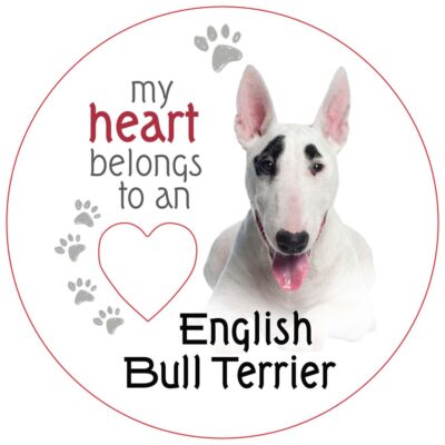 Bull Terrier Piece of My Heart Magnet