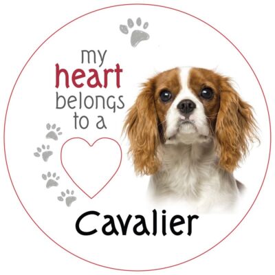 Cavalier Piece of My Heart Magnet