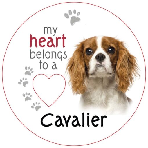 Cavalier Piece of My Heart Magnet
