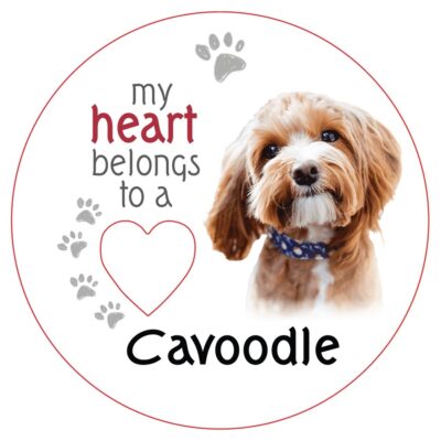 Cavoodle Piece of My Heart Magnet
