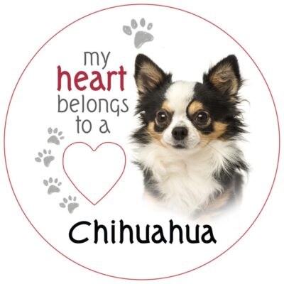 Chihuahua (Long Haired) Piece of My Heart Magnet