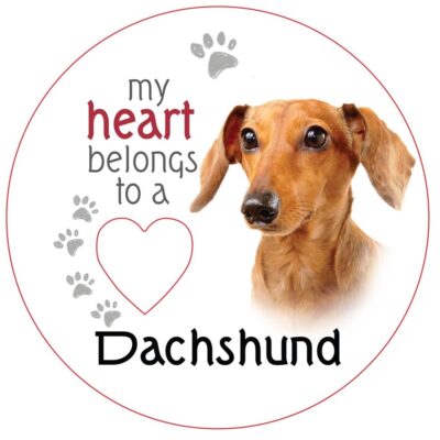 Dachshund Piece of My Heart Magnet