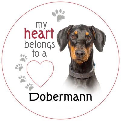 Dobermann Piece of My Heart Magnet