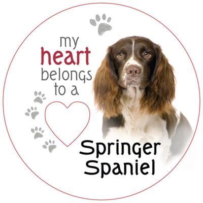 English Springer Spaniel Piece of My Heart Magnet