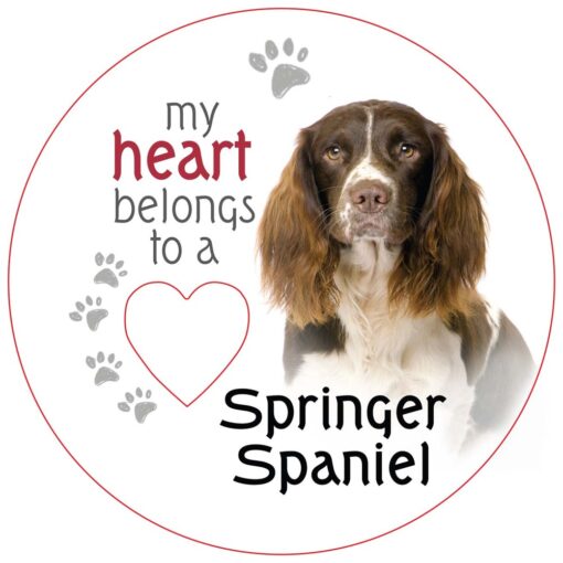 English Springer Spaniel Piece of My Heart Magnet