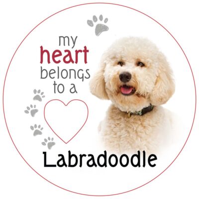 Labradoodle Piece of My Heart Magnet