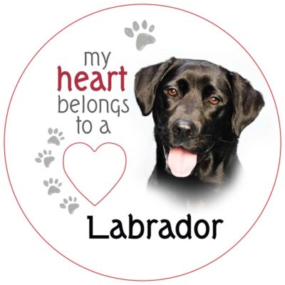 Black Labrador Piece of My Heart Magnet