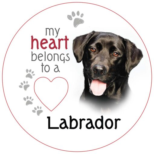 Black Labrador Piece of My Heart Magnet