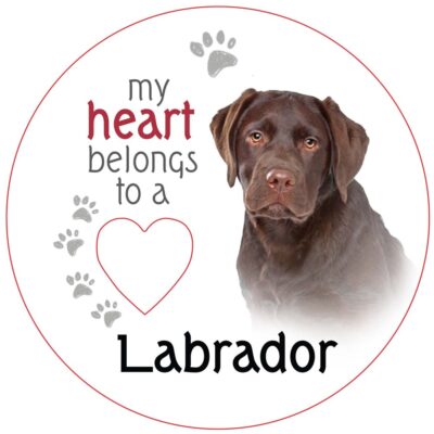 Chocolate Labrador Piece of My Heart Magnet