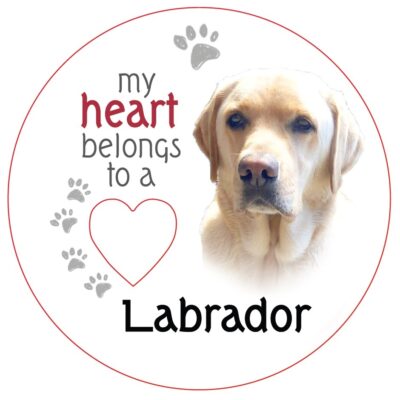 Golden Labrador Piece of My Heart Magnet