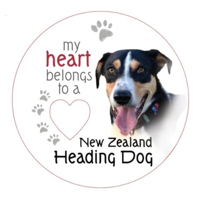 New Zealand Heading Dog Piece of My Heart Magnet