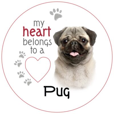 Pug Piece of My Heart Magnet
