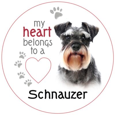 Schnauzer Piece of My Heart Magnet