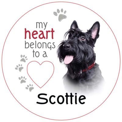 Scottish Terrier Piece of My Heart Magnet
