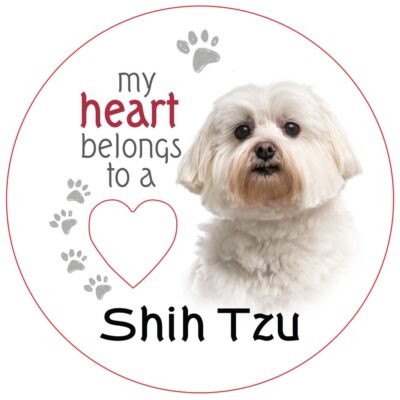 Shih Tzu Piece of My Heart Magnet