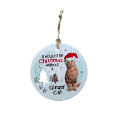 Ginger Cat Christmas Wishes Plaque