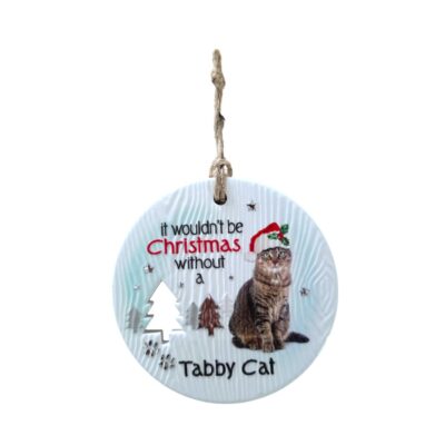Tabby Cat Christmas Wishes Plaque