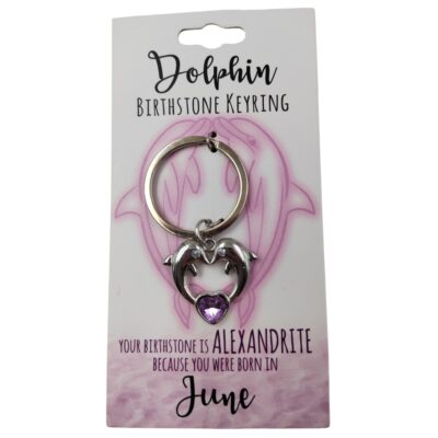 June Dolphin Keyring