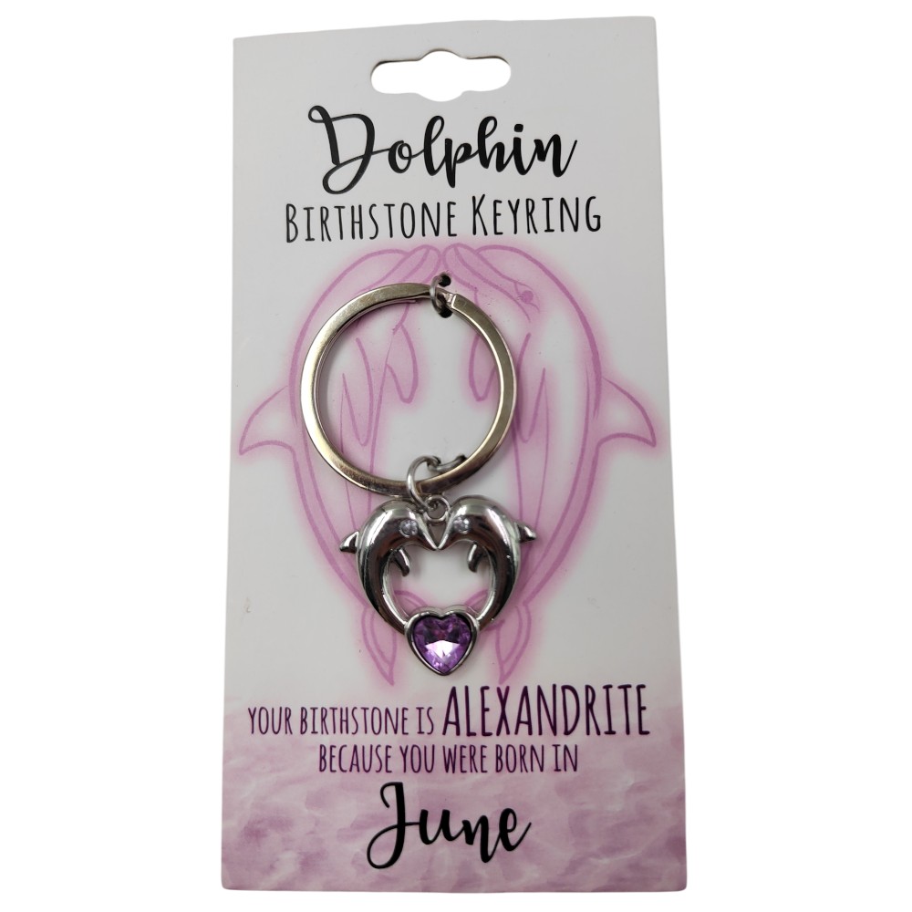June Dolphin Keyring