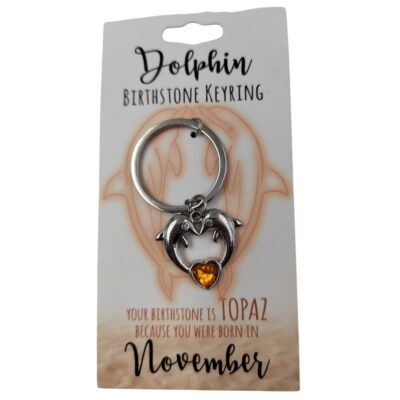 November Dolphin Keyring