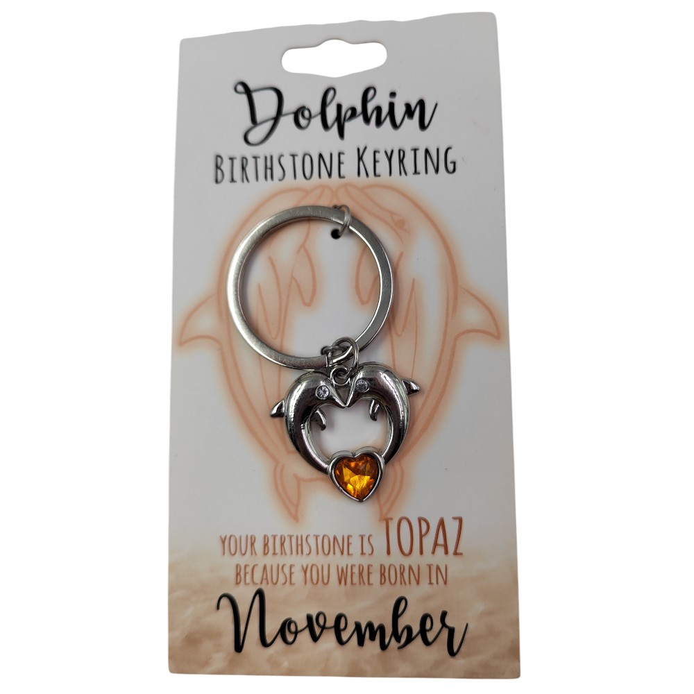 November Dolphin Keyring