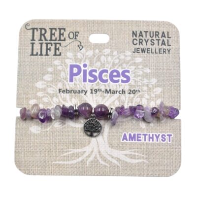 Pisces Amethyst Bracelet