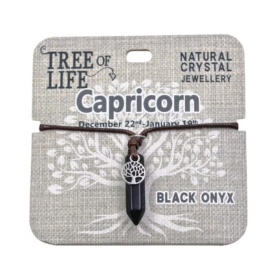 Capricorn Black Onyx Necklace