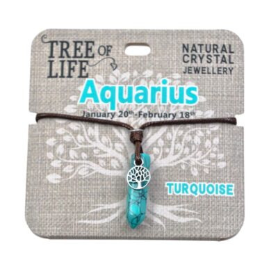 Aquarius Turquoise Necklace