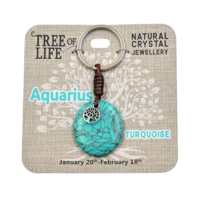 Aquarius Turquoise Keyring