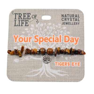 Your Special Day Tigers Eye Bracelet