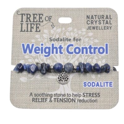 Weight Control Sodalite Bracelet