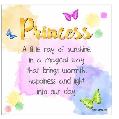 Princess Enlightened Wishes LED Block