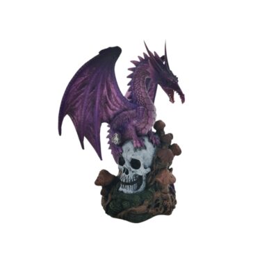 Purple Dragon On Skull